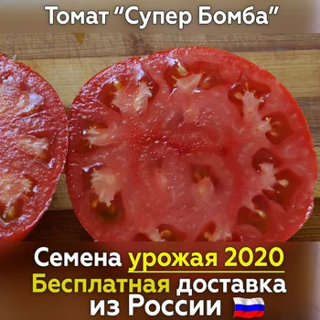 

Tomato seeds super bomb for planting, fresh crop, tested grade. Best vegetables for you!