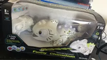 RCtown-camaleón a Control remoto para niños, Robot de juguete inteligente para mascotas de 2,4 GHz, regalo de cumpleaños