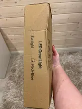 Phyto-Lamp Grow-Light Flower Seedlings Goodland USB Full-Spectrum For Plants LED 