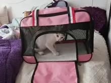 Backpack Dog-Carrier-Bag Travel-Bag Dogs Chihuahua Pet-Puppy Yorkie Cats Small Breathable