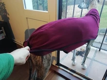 Clothing Pullovers Pet-Coat Pitbull Dogs High-Collar Winter Mascotas Large Medium Big