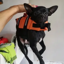 Chaleco Salvavidas para perro, chaqueta Salvavidas para mascota, ropa de seguridad, traje de baño para mascotas, Chaleco de seguridad para verano