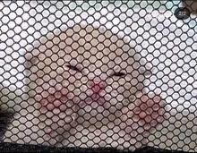 Collar con colgante de diamante cuadrado pequeño para mujer, de Plata de Ley 925, cadena Simple de clavícula brillante a la moda, joyería de boda, regalo de fiesta