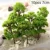 Trees Model Train Railroad Decor Scenery Landscape HO-OO Scale Building Static Grass Tufts Miniature Scenery Wildflowers Flower 