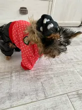 Coat Dogs-Clothing Dot-Pattern Winter Hooded Pet-Dogs New Xl To High-Quality