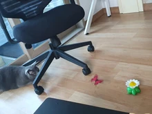 Juguete eléctrico rotatorio automático para gatos, forma de Animal de mariposa colorida, interactivo, entrenamiento interactivo para perros y gatitos
