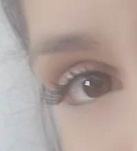 LEKOFO-pestañas magnéticas con 4 pares, 8 Uds., 5 uds.