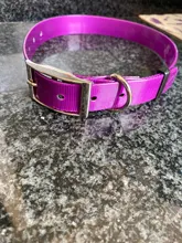 Collar para perro desodorante y resistente al agua de TPU y nailon, fácil limpieza, de alta calidad, suministros para mascotas, 7 colores, de moda