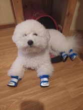 Pet-Boots Cat-Shoes Dog Small-Dogs Puppy-Socks Protecters Rain-Snow Anti-Slip Winter