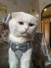 Breakaway Cat Collar Cute Bow Vests Cat Harness and Leash Cat Product Cat Accessories