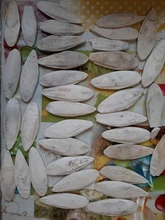 Cuttlefish Products Birds Tortoise Bone Chew-Toy Parrot Health-Care for Pet-Budgie Reptiles