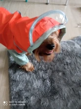 HOOPET-chubasquero para perro, mono impermeable para perros, abrigo para mascota, perro pequeño, gato, Chihuahua, chaqueta impermeable