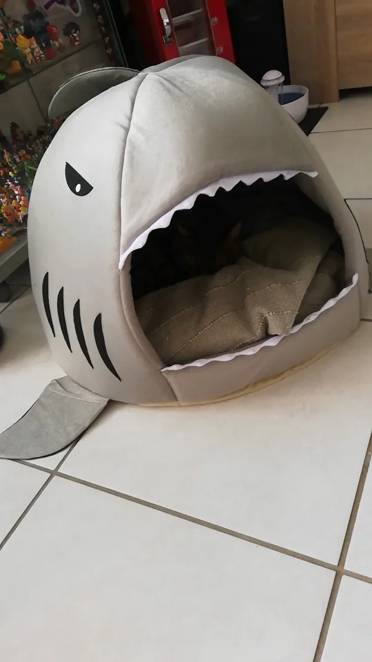Shark Dog Bed Shark Cat Bed Shark Cat House Shark Dog House