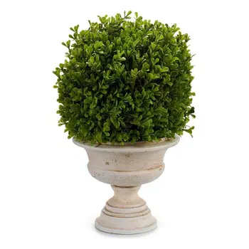 

Decorative Plant Ibergarden (33 x 37 x 30 cm)