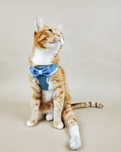 Breakaway Cat Collar Cute Bow Vests Cat Harness and Leash Cat Product Cat Accessories