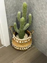 Potted Baskets Vase Hanging Handle Plant Garden-Flower Seagrass Woven Wicker Foldable