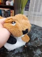 Puppy Honking Squirrel for Dogs Cat Chew Squeaker Squeaky Toy Dog Toys Stuffed Chew Squeaking