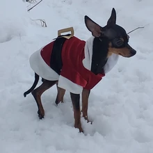 Costume Jackets Yorkie-Outfit Cat-Clothing Puppy Small Dogs Coat Hooded Pet-Dog Winter Dog