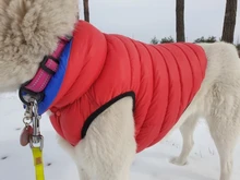 Vest Dog Jacket French Bulldog Waterproof Coat Pet-Outfit Dogs-Pet Winter Large Medium