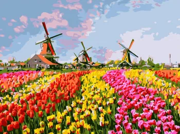 

Painting by Numbers ex 6367 multicolored field of tulips 30*40