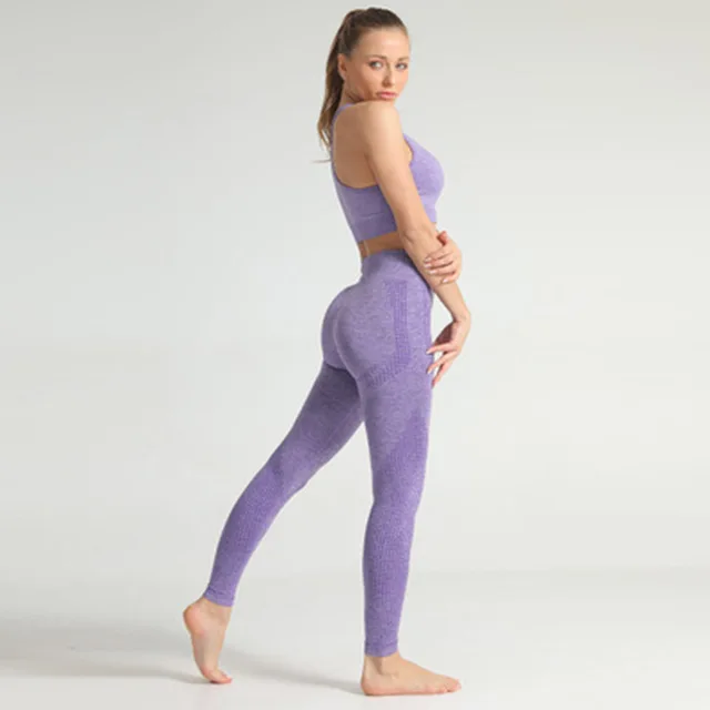 2021 Winter Hot Sale Women Gym Suit Yoga Set Fitness Set Ropa Deportiva Mujer Sports Clothing