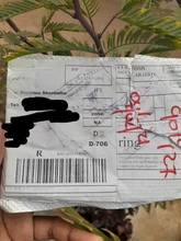 Anillo para mujeres de moda moderno, anillo de compromiso de circonita de cristal AAA blanca, regalo de joyería de boda, 2020