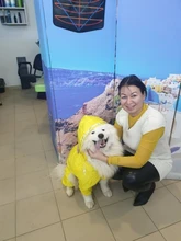 Jumpsuit Jacket Pet-Cloak Rain-Coat Labrador HOOPET Golden Retriever Waterproof Dogs