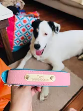 Dog-Collar Id-Plate Engraved Dogs Pitbull Custom Personalized Padded with Tag 2-Layers