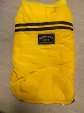 French Bulldog Small Dogs Pugs Winter For Chihuahua Outfit Pink Warm Clothing Roupa Pet-38s2