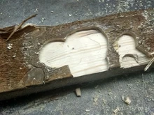 Wood-Router-Tool-Combo-Kit Manual-Trimmer-Tools Milling-Cutter Electric-Woodworking-Machines