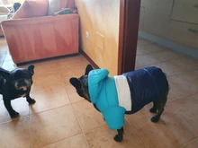 Outfit Jacket Hoodie Dog Warm Waterproof Winter Coat Splice Pet-Puppy 6-Colours 8-Sizes