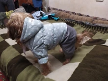 Overalls Fleece Dogs Winter for Star Corduroy Teddy XS M XL