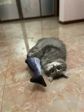 60cm Big Fish Shape Cat Toys for Cats Plush Catnip Mint Stuffed Kedi Kitty Toy Bite Puppy