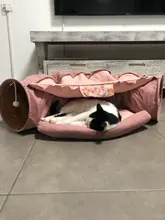 Túnel para cama de gato, tubo extraíble plegable para mascotas, juguetes interactivos con bolas de felpa para cachorros