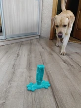 Dog-Toys Pet-Toothbrush Dog-Accessories Puppy-Chew-Toys Rubber Kong Bulldog French Perro