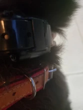 Collar de entrenamiento Digital para perros, collarín de 800m, impermeable, recargable, para mascota de Control remoto, con pantalla LCD, sonido de vibración y choque de todos los tamaños