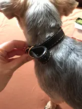 Pawstrip grabado Collar de perros de piel sintética Etiqueta de mascota Collar para perros Bulldog francés Pitbull, perro grande Collar de cachorro.