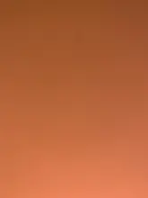 Zwellbe-Paquete de 25/50 Uds. De cepillo para maquillaje de pestañas, desechables, con mango de diamante, varitas de rímel, utensilio de extensión de pestañas