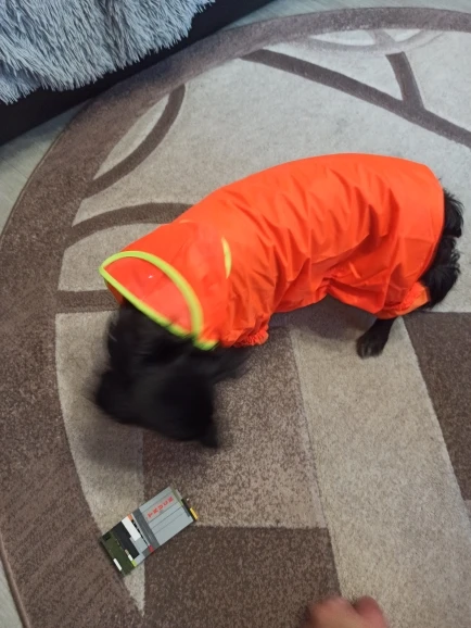 DogMEGA All-inclusive Colorful Raincoat for Dog | Dog Waterproof Raincoat photo review