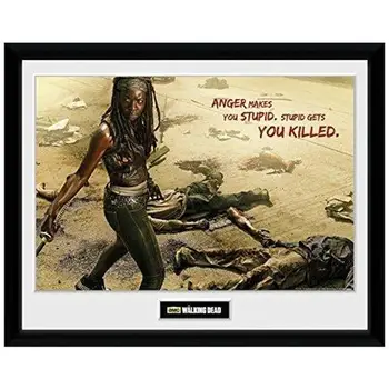 

Walking Dead (the) - Michonne Kill (printing frame 30x40 Cm)