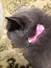 Collar de nailon con lazo para perro y gato, para mascota, con lazo, Color caramelo, 1 unidad