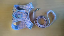 Vest Necklace Harnesses Leash-Set Lead Puppy-Kitten-Collars Dog Pug Adjustable Chihuahua