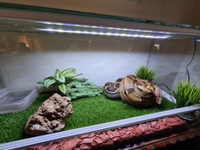 Aquarium LED Light Super Slim Fish Tank Aquatic Plant Grow Lighting Waterproof Bright