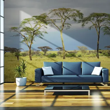 

Wall mural-Savanna trees - 200x154 cm