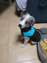 Ropas impermeables para perro para perros pequeños de invierno cálido abrigo para perros ropa de perro grande cachorro Pug chaleco Bulldog francés chaqueta para Chihuahua