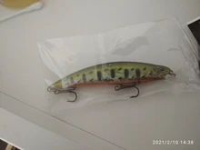 9.5cm 15g jerkbait Wobblers crankbaits hardbait Minnow Japan camping outdoor outdoor