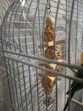 Bird-Toys Accessories Perch-Stand Cockatiel Budgie Parkiet Vogelspeelgoed 7pcs Jouet