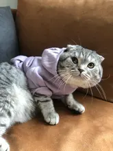 Warm Pet Clothes For Cats Clothing Autumn Winter Clothing for Cats Coat Puppy Outfit