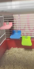 Hamster Platform Stand Rack Rectangle Squirrel Cage Colorful Wooden Plate Toys