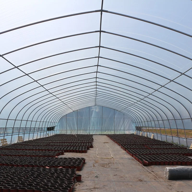 Serving Agriculture Singlespan Greenhouses